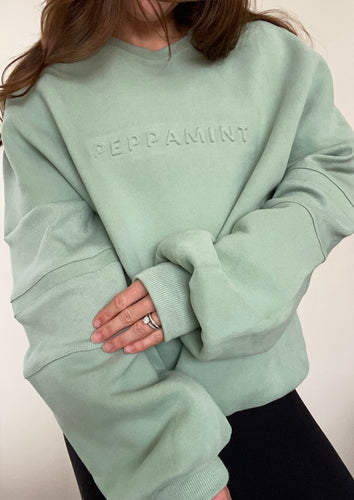 crew neck jumper in seafoam green with embossed chest logo and ribbed panels on sleeves